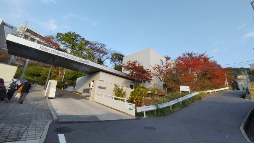 神戸薬科大学の正門前 20251117-kobeyakkadaigaku.jpg