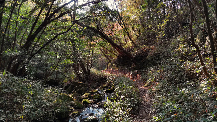 黒五谷の渓流沿いの道を進む 20251117-kurogotani-01.jpg