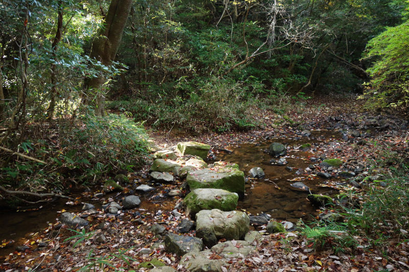 黒五谷の渓流を渡り、打越峠に向けて登り返す 20251117-kurogotani-13.jpg