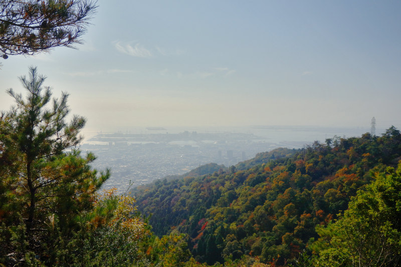 七兵衛山からの眺め。木々がだいぶ紅葉している 20251117-sitibeisan-03.jpg