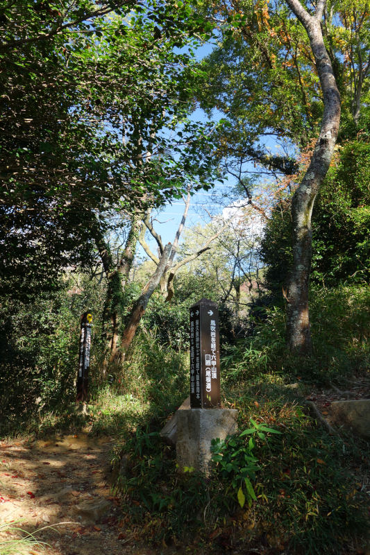 水平道の起点。風吹岩から降りてきた道と合流する 20251117-suiheidou-03.jpg