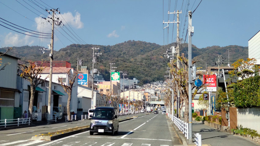 市道 商船学校線から金鳥山方向を見上げる 20251117-syousendaigakusen.jpg