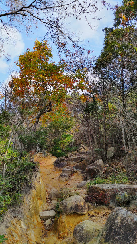 風吹岩の西側、岩ゴロゴロの坂道を登る 20251117-totoyamichi-02.jpg