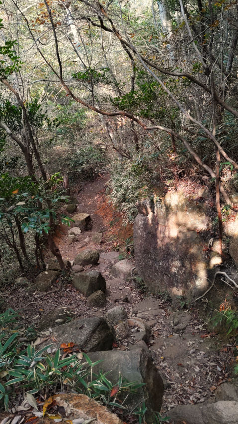 岩ゴロゴロの下りを過ぎると、すぐに黒五谷の分岐点がある 20251117-totoyamichi-03.jpg