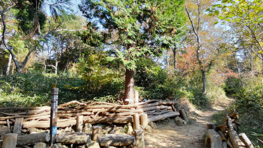 打越峠 20251117-uchikositouge.jpg