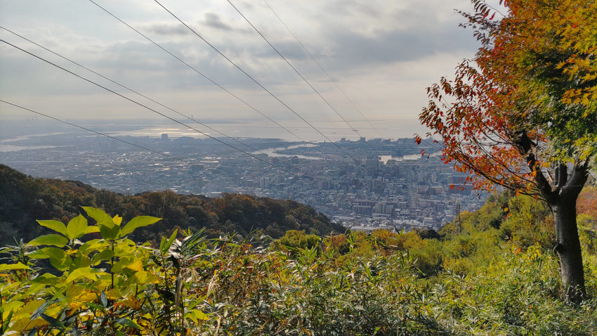 薬科大尾根から阪神間の市街地が一望できる 20251117-yakkadaione-03.jpg