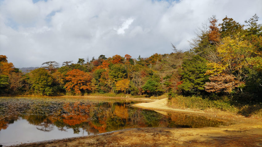 周囲の木が赤やオレンジに紅葉した横池 20251117-yokoike.jpg