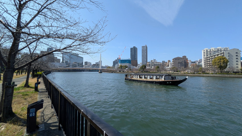 藤田邸跡公園の北側を流れる大川(旧淀川) 20260301-fujitatei-okawa.jpg