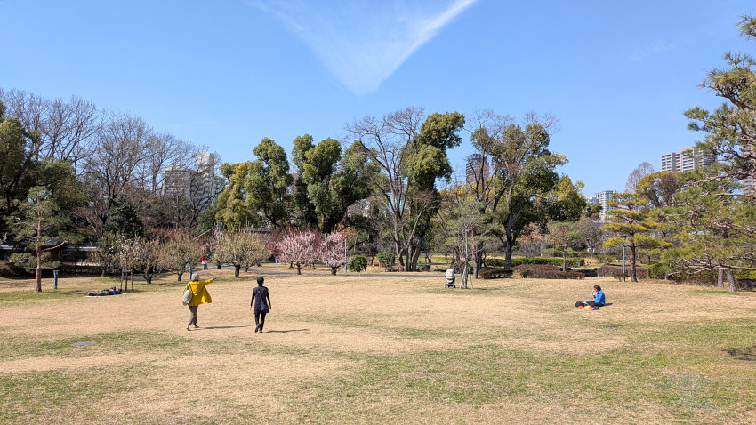 藤田邸跡公園 芝生広場 20260301-fujitatei-sibafu.jpg