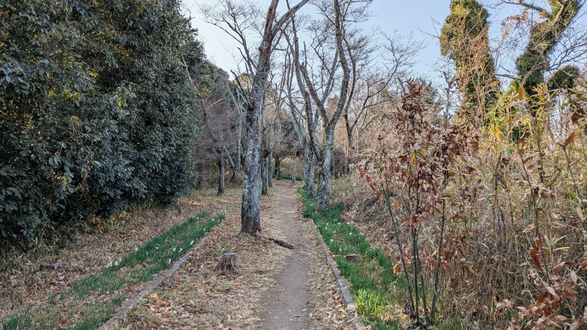 飯盛城 III郭 20260301-iimorijou-3kuruwa-01.jpg