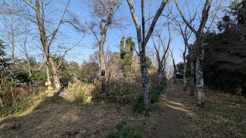 飯盛城 III郭の南端で、北條神社への登山道が分岐している 20260301-iimorijou-3kuruwa-02.jpg