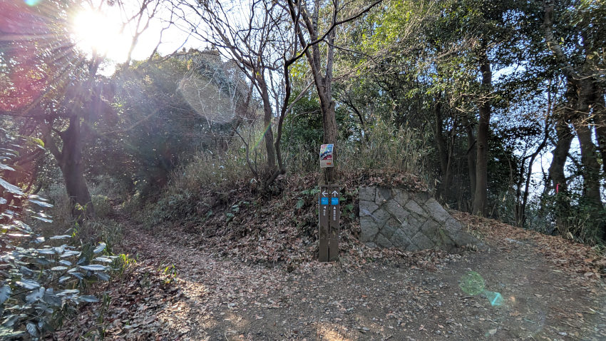 III郭方向(右側)と楠公寺への巻道(左側)が分岐する 20260301-iimorijou-4kuruwa-makimiti.jpg