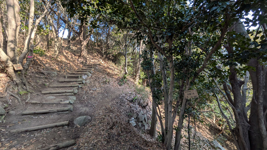 V郭から降りてくる道(左側階段)と、巻き道(右側)が合流する 20260301-iimorijou-5kuruwa-makimiti.jpg