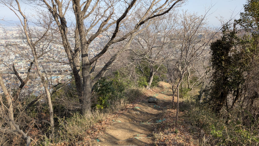 飯盛城 VII郭を緩やかに下る 20260301-iimorijou-7kuruwa-01.jpg