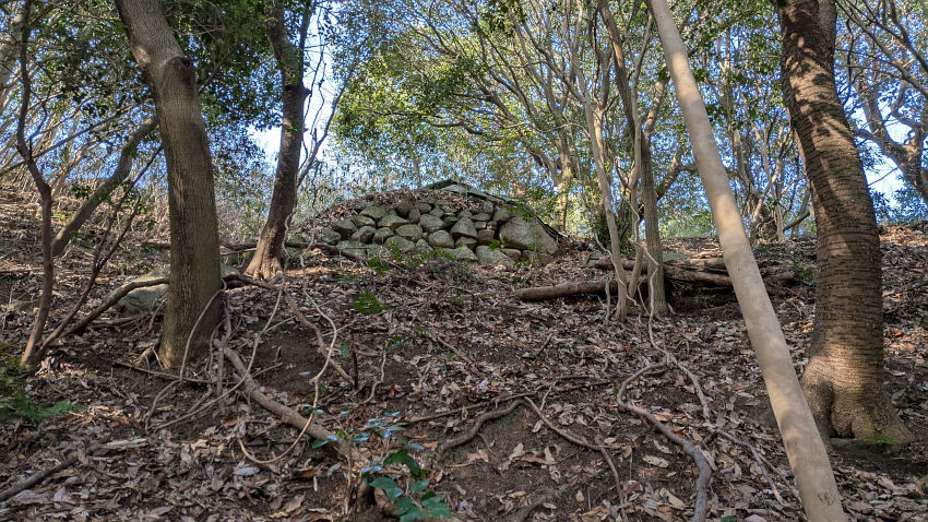 V郭(御体塚郭)の巻き道から見える石垣跡 20260301-iimorijou-isigaki.jpg