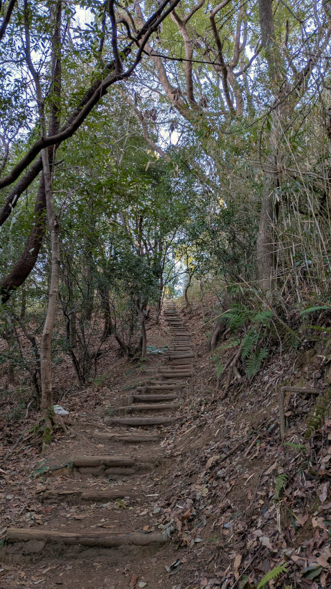 梅林から尾根筋に出るまで、ひたすら続く木段を登る 20260301-iimoriyama-tozandou-01.jpg