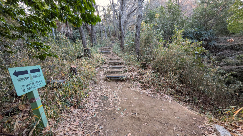 標高130mで尾根筋に出る。その先もひたすら木段が続く 20260301-iimoriyama-tozandou-02.jpg