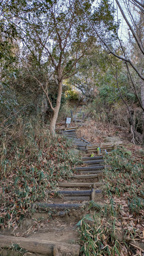 標高約190mまで、急傾斜の木段が続く 20260301-iimoriyama-tozandou-03.jpg