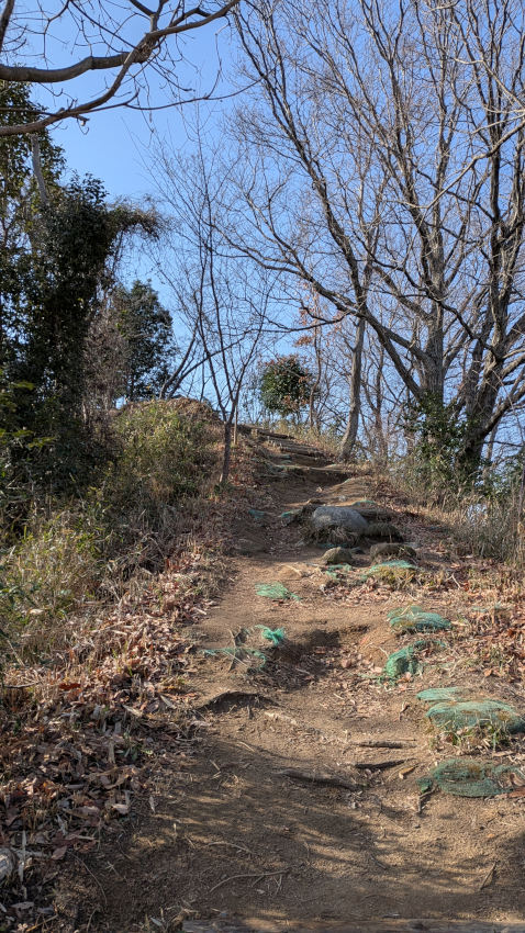 飯盛城 VII郭からVI郭への緩やかな登り坂 20260301-iimoriyama-tozandou-05.jpg