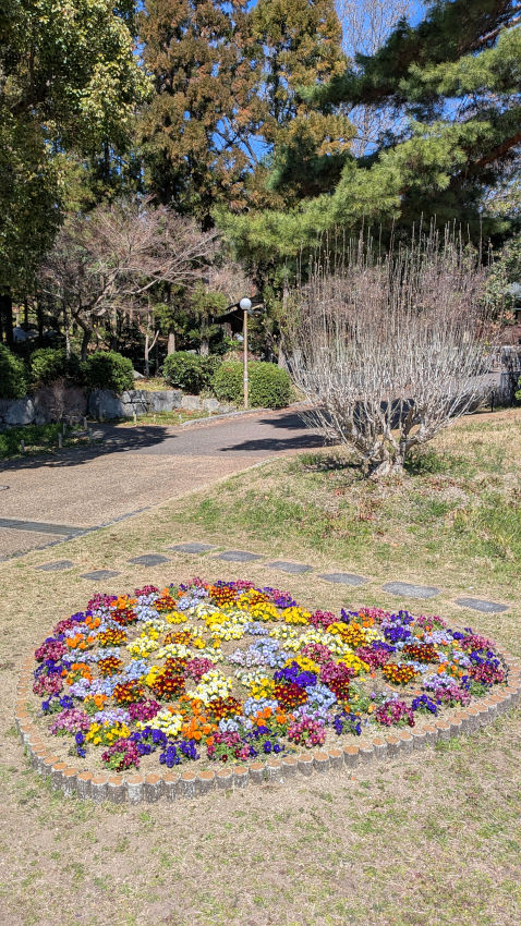 韓国庭園横にある「ハート型」の花壇 20260311-kadan.jpg